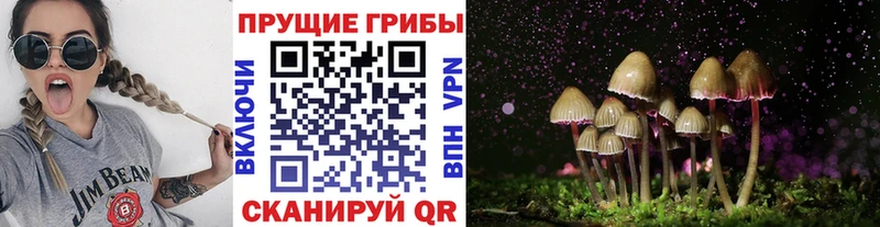Галлюциногенные грибы Magic Shrooms Купить Трёхгорный